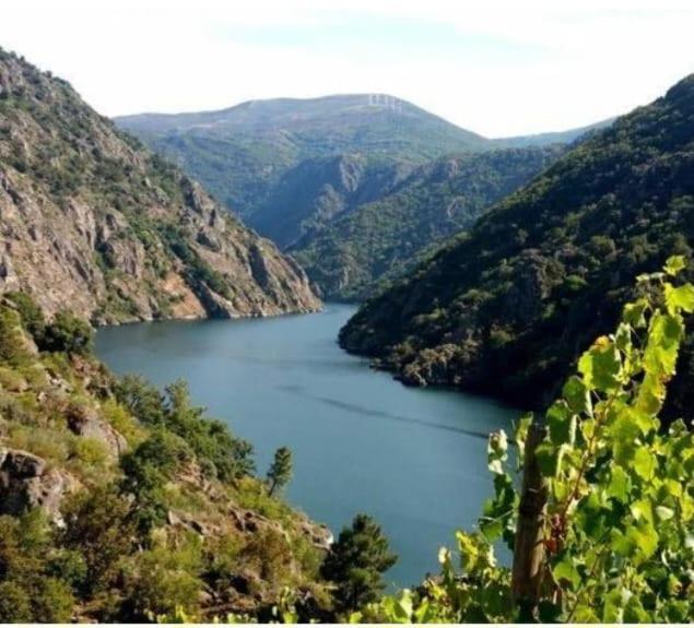 Piso Ribeira Sacra Apartment มงฟอร์เต เด เลมอส ภายนอก รูปภาพ